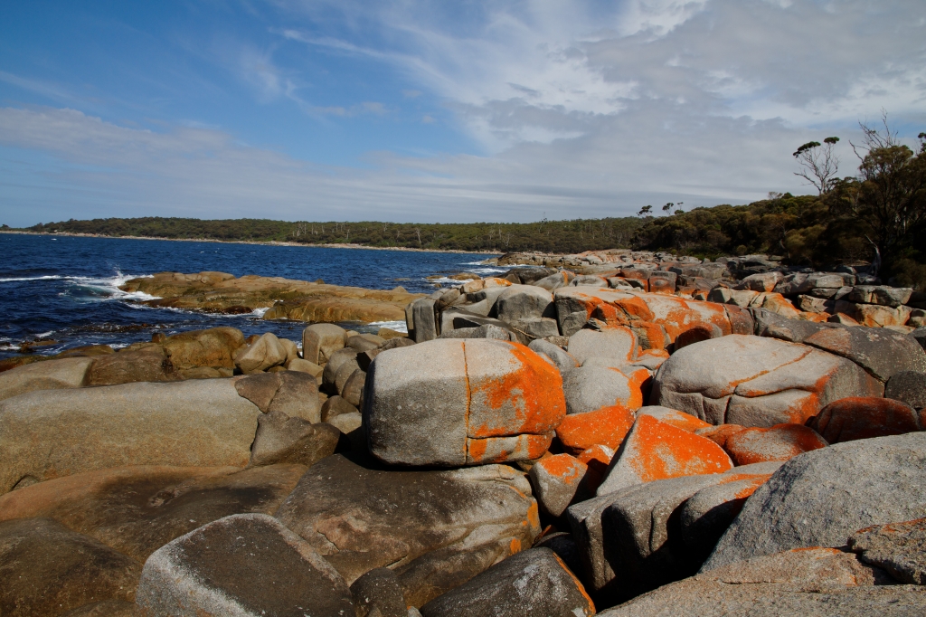 05 - Bay of Fire (1).jpg